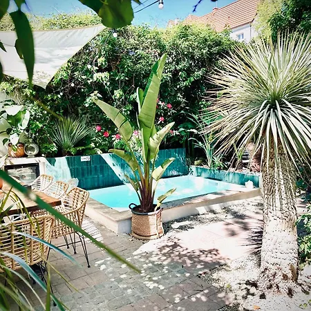 דירה Exclusive 3city In With Swimming Pool And Parking By Renters