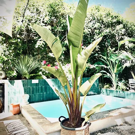 Exclusive 3city In With Swimming Pool And Parking By Renters סופוט