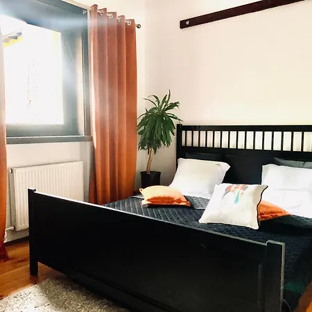 Exclusive 3city In With Swimming Pool And Parking By Renters *
